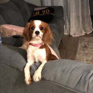 Meet your Posher, Amanda